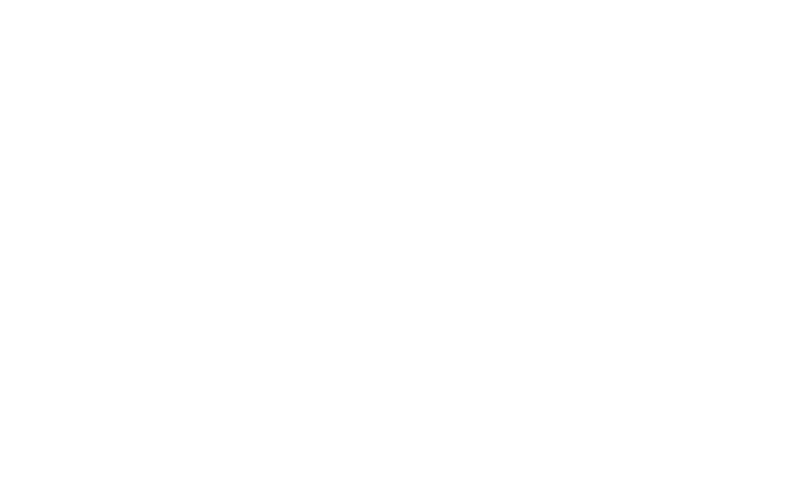 Murmuration Arts